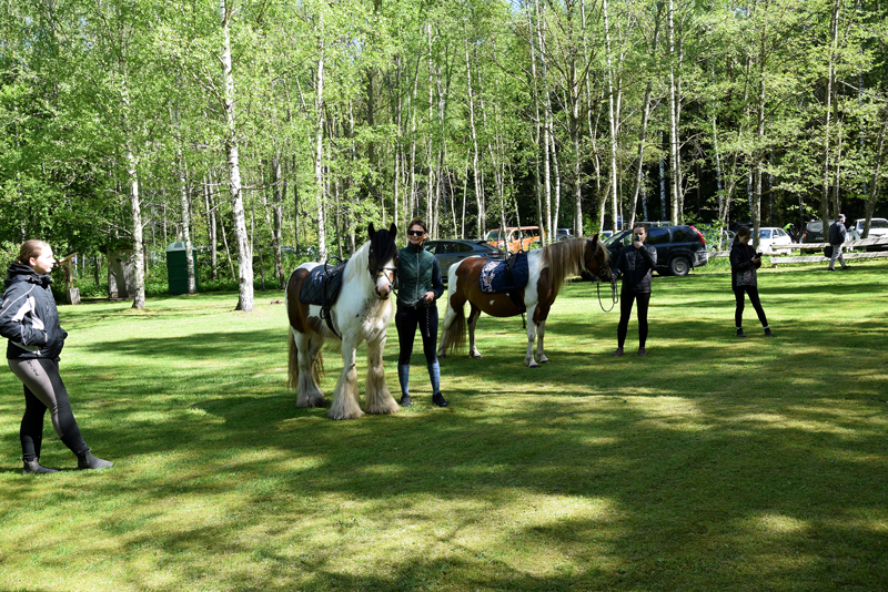 Autors: Māris Krūmiņš