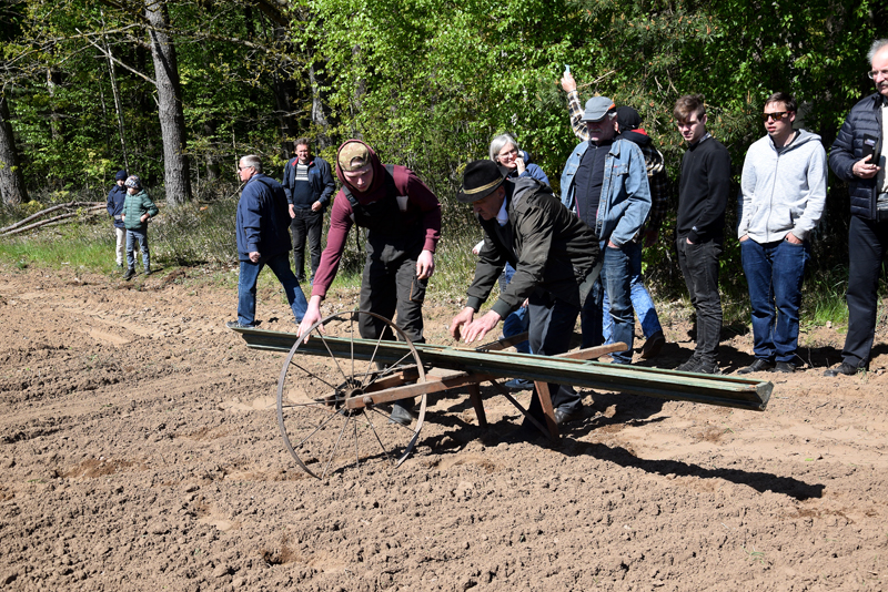 Autors: Māris Krūmiņš