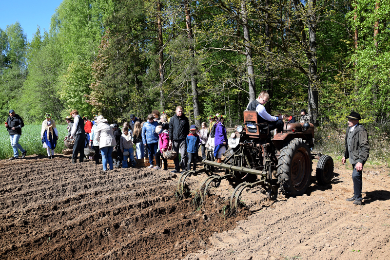Autors: Māris Krūmiņš