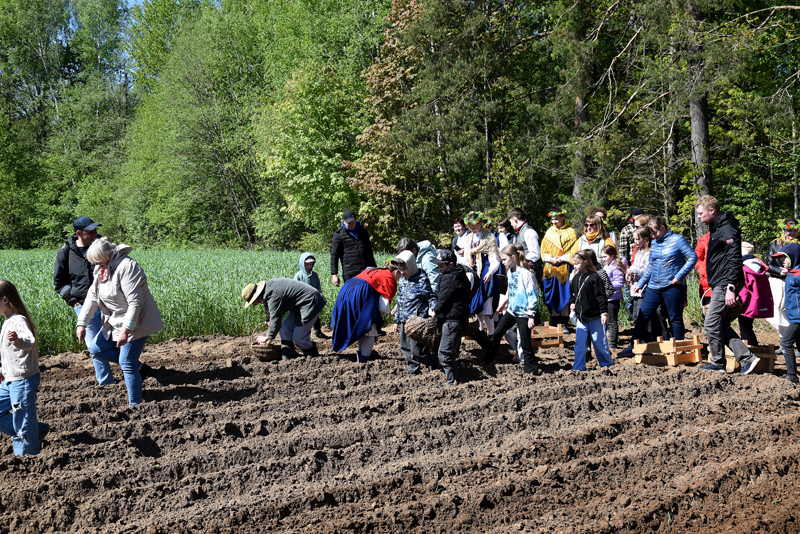 Autors: Māris Krūmiņš