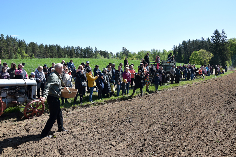 Autors: Māris Krūmiņš