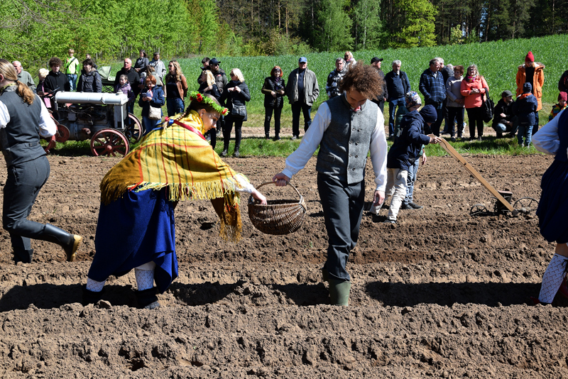 Autors: Māris Krūmiņš