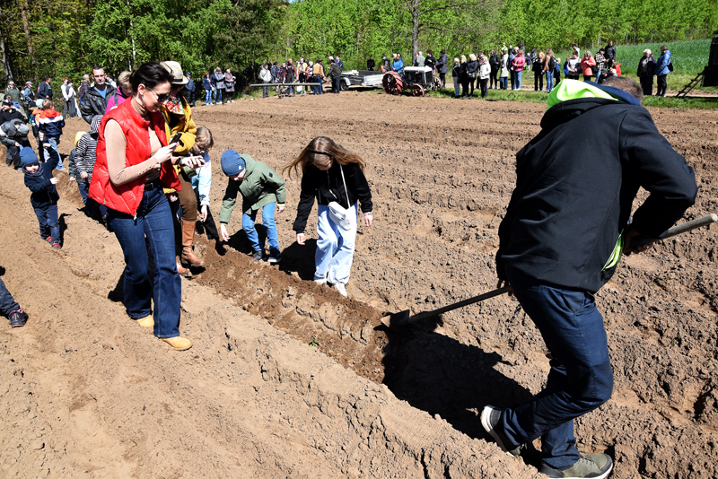 Autors: Māris Krūmiņš