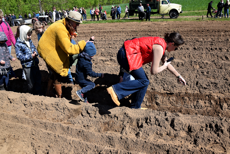 Autors: Māris Krūmiņš