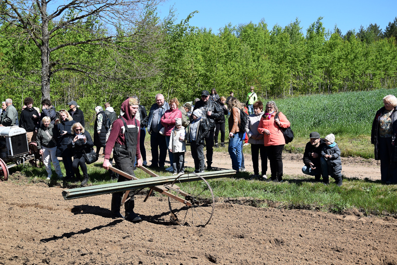 Autors: Māris Krūmiņš