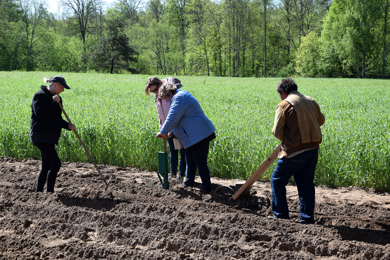 Autors: Māris Krūmiņš