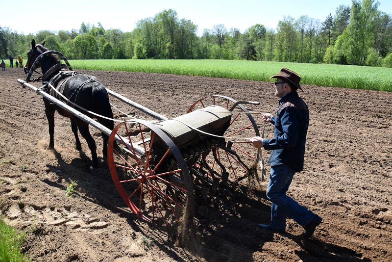Autors: Māris Krūmiņš