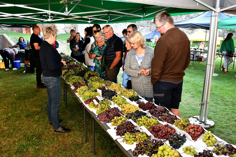 Autors: Ivars Bogdanovs