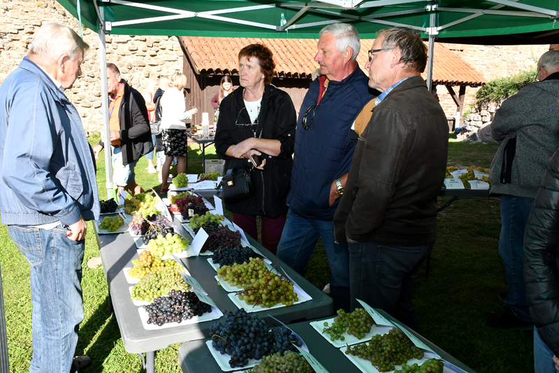 Autors: Ivars Bogdanovs