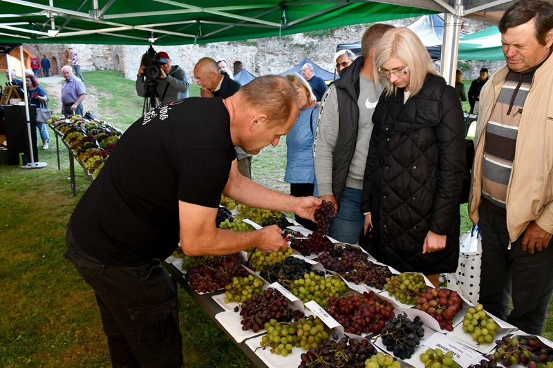 Autors: Ivars Bogdanovs