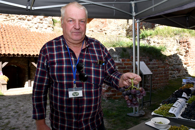 Autors: Ivars Bogdanovs