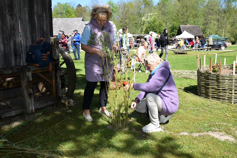 Autors: Māris Krūmiņš