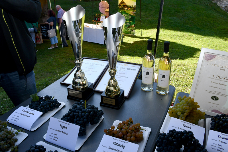 Autors: Ivars Bogdanovs