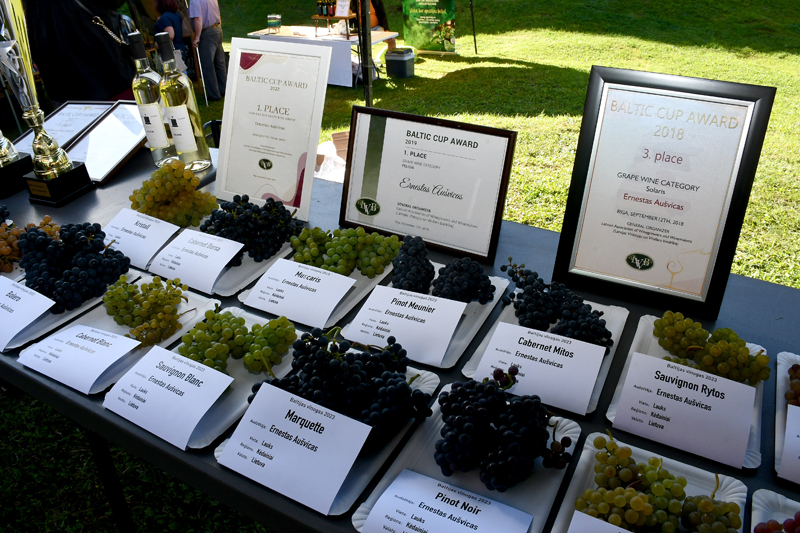 Autors: Ivars Bogdanovs