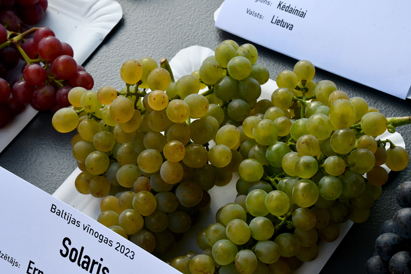 Autors: Ivars Bogdanovs