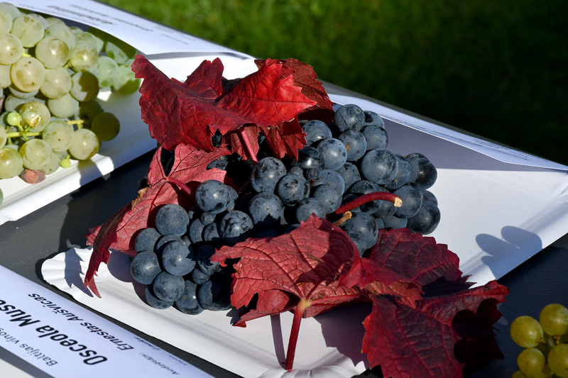 Autors: Ivars Bogdanovs