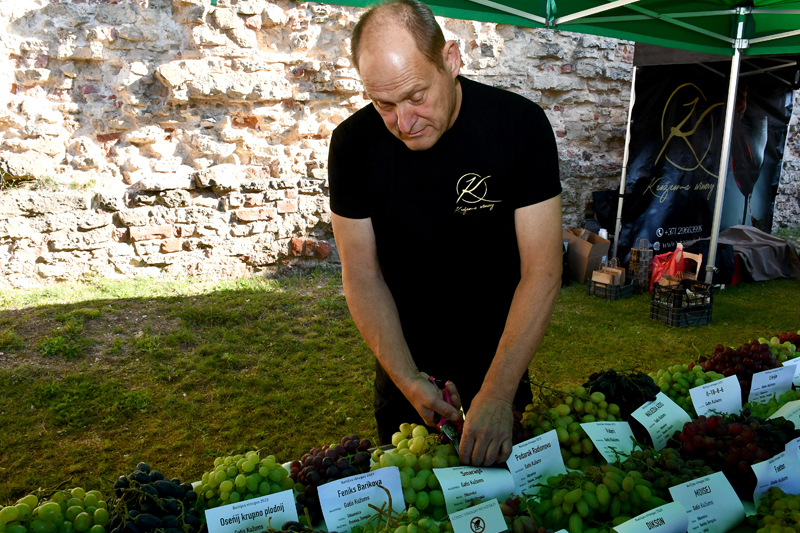 Autors: Ivars Bogdanovs