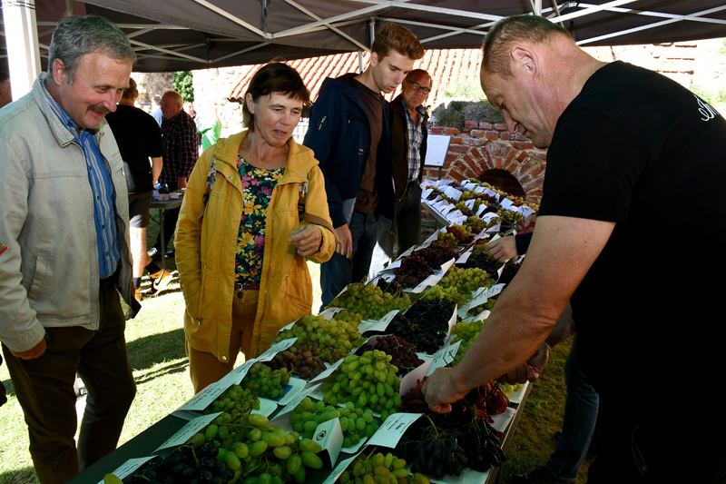 Autors: Ivars Bogdanovs