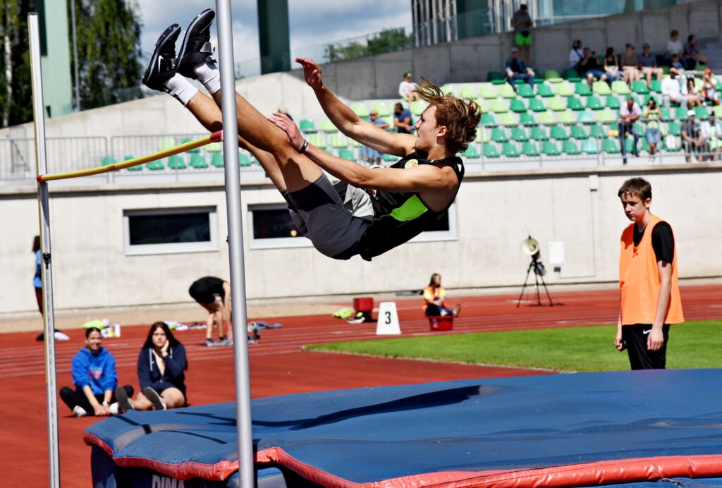 Autors: Uldis Varnevičs