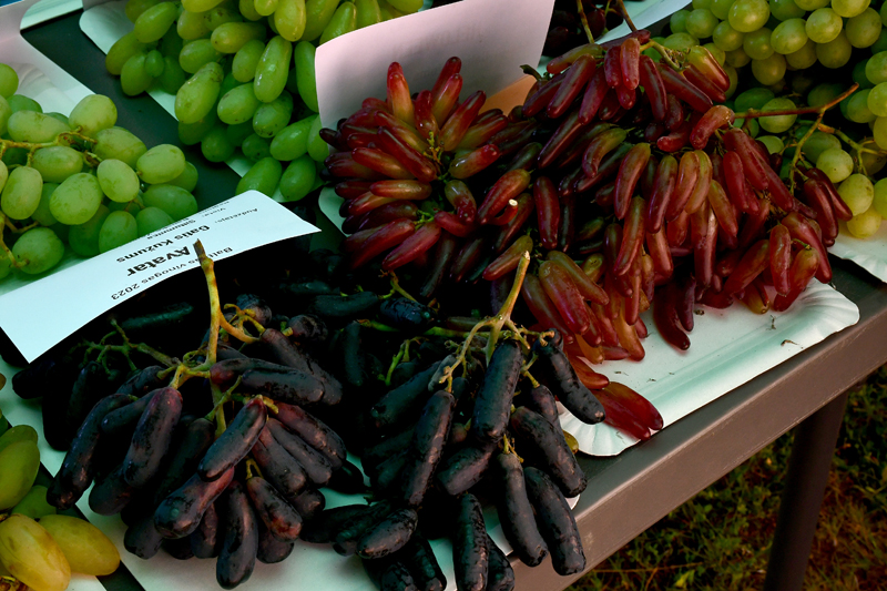 Autors: Ivars Bogdanovs