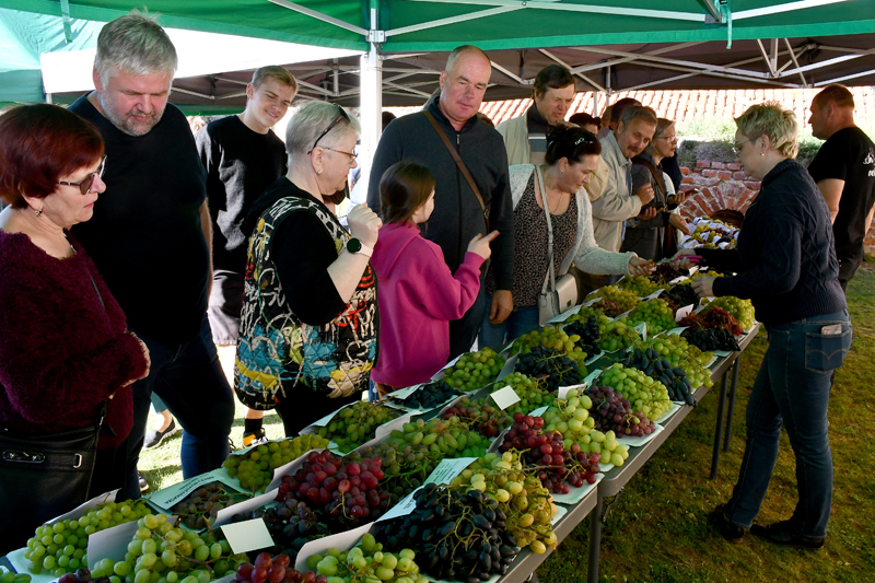Autors: Ivars Bogdanovs
