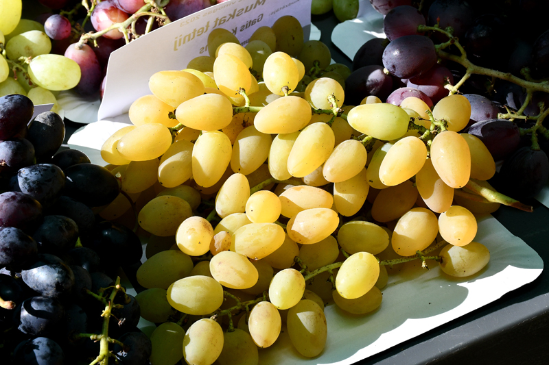 Autors: Ivars Bogdanovs