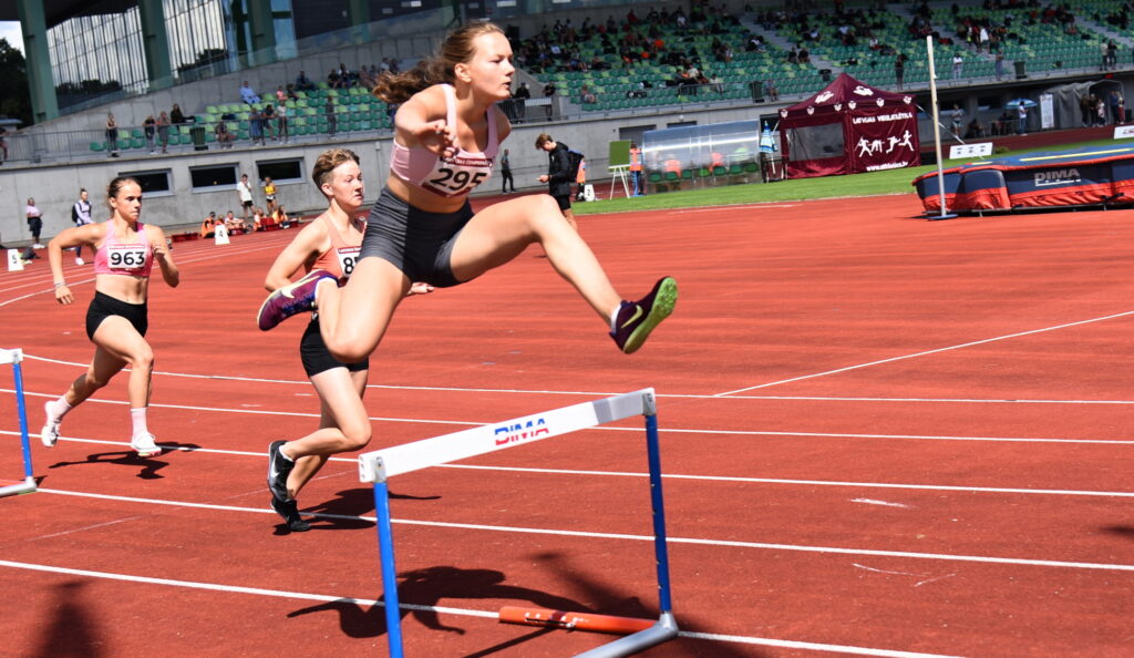 Autors: Uldis Varnevičs