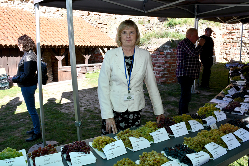 Autors: Ivars Bogdanovs