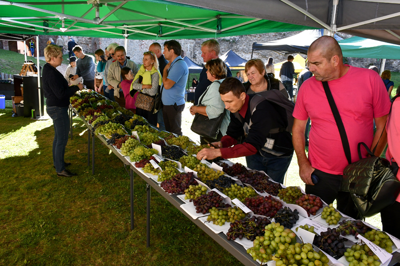 Autors: Ivars Bogdanovs