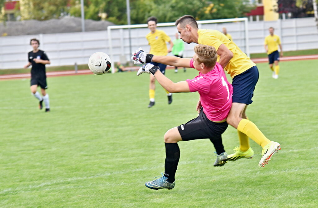 Autors: Uldis Varnevičs