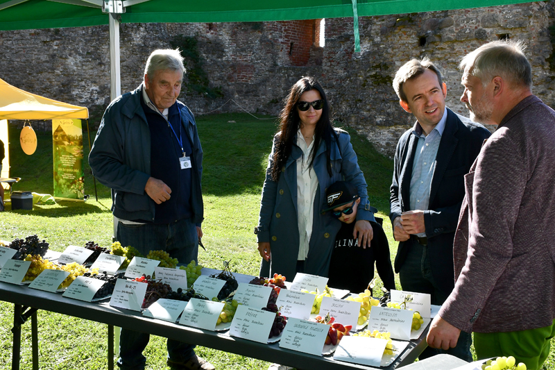 Autors: Ivars Bogdanovs