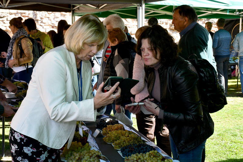 Autors: Ivars Bogdanovs