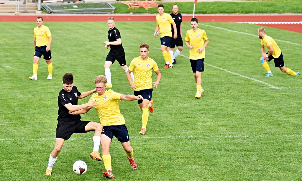 Autors: Uldis Varnevičs