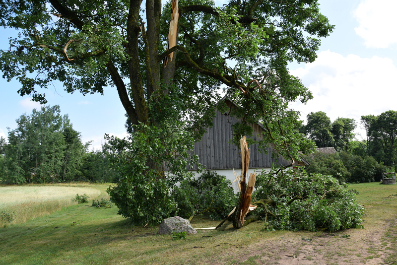 Autors: Ivars Bogdanovs