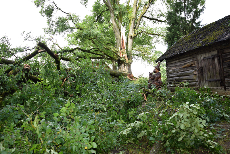 Autors: Ivars Bogdanovs