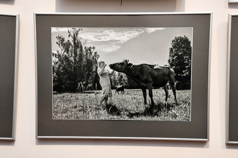 Autors: Ivars Bogdanovs