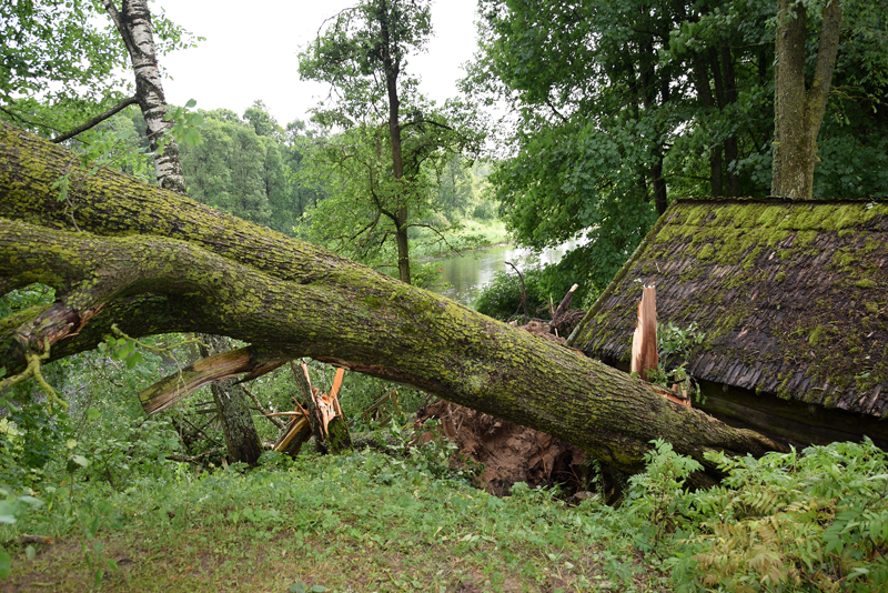 Autors: Ivars Bogdanovs