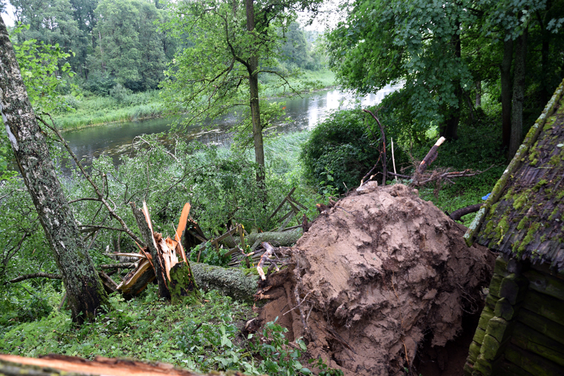 Autors: Ivars Bogdanovs