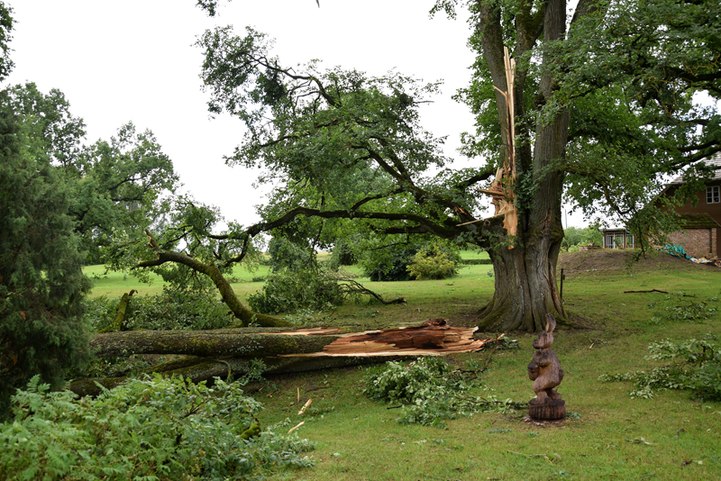 Autors: Ivars Bogdanovs