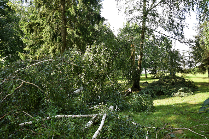 Autors: Ivars Bogdanovs