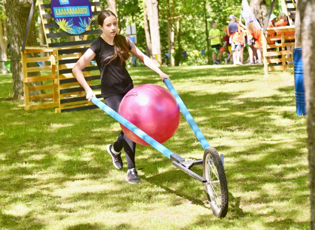 Autors: Uldis Varnevičs