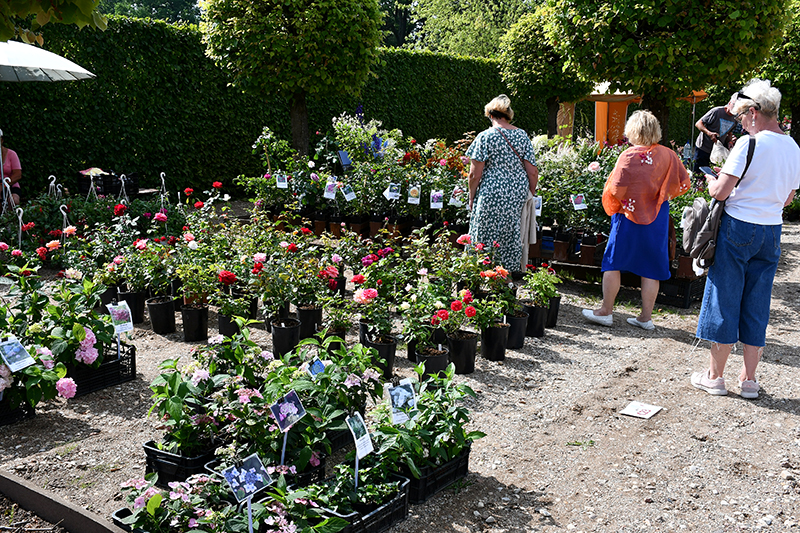 Autors: Ivars Bogdanovs