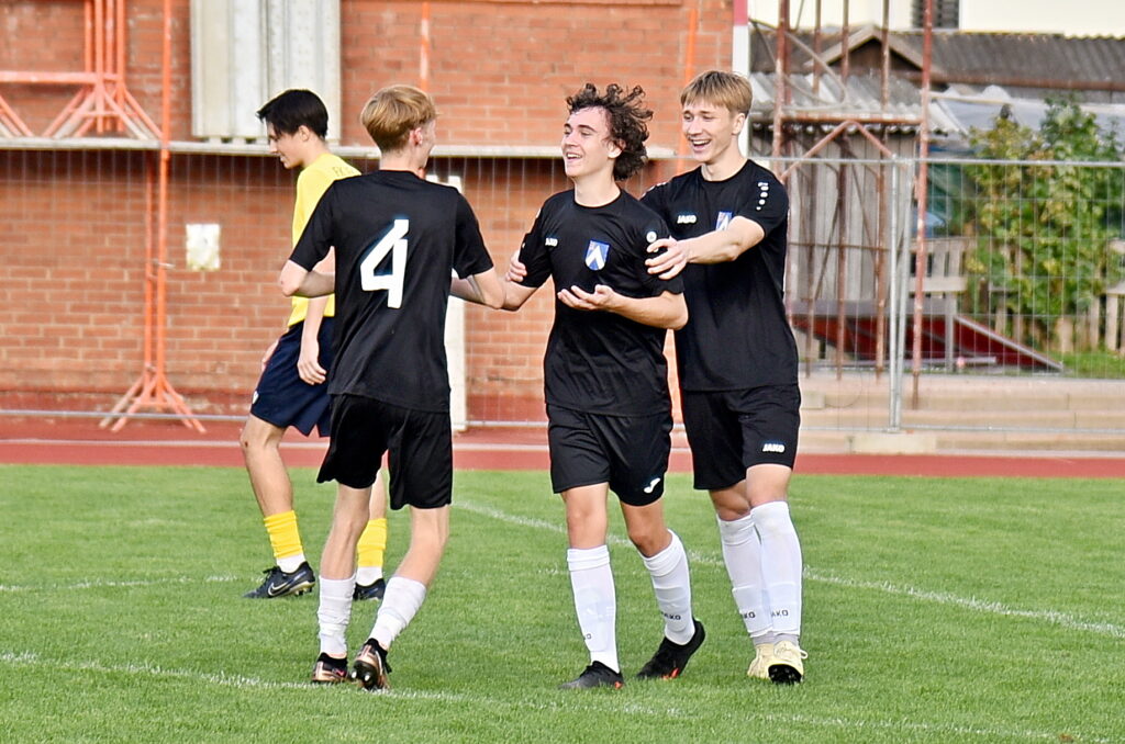 Autors: Uldis Varnevičs