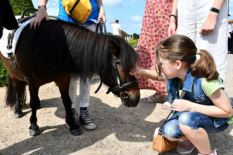 Autors: Ivars Bogdanovs