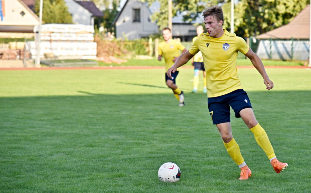 Autors: Uldis Varnevičs