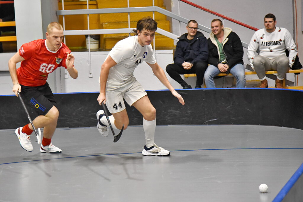 Autors: Uldis Varnevičs