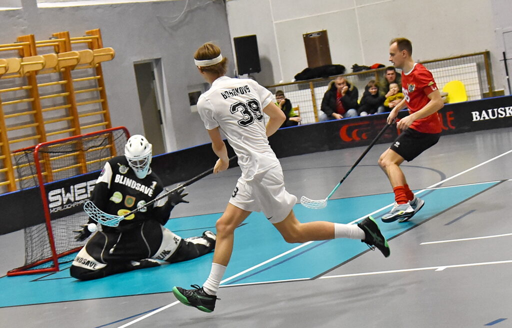 Autors: Uldis Varnevičs