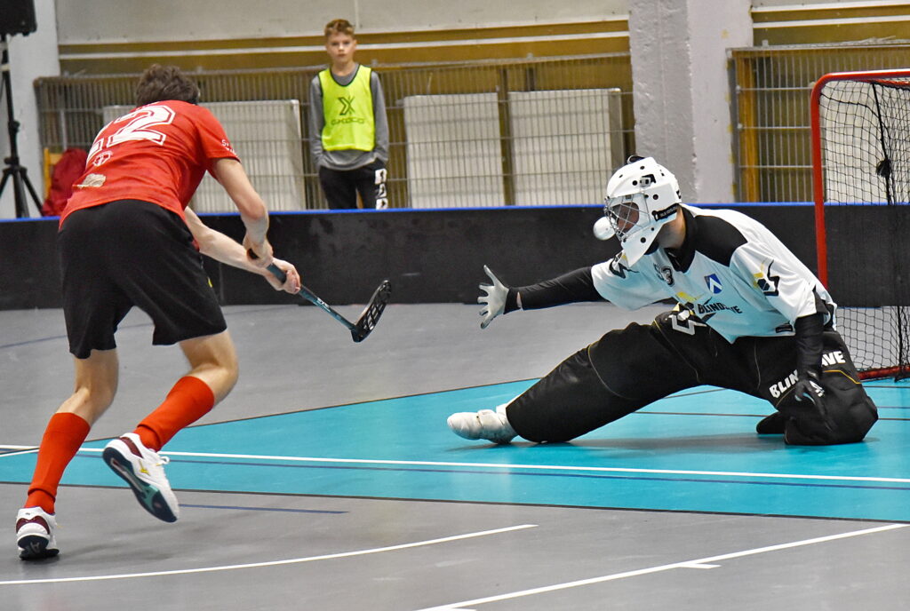 Autors: Uldis Varnevičs