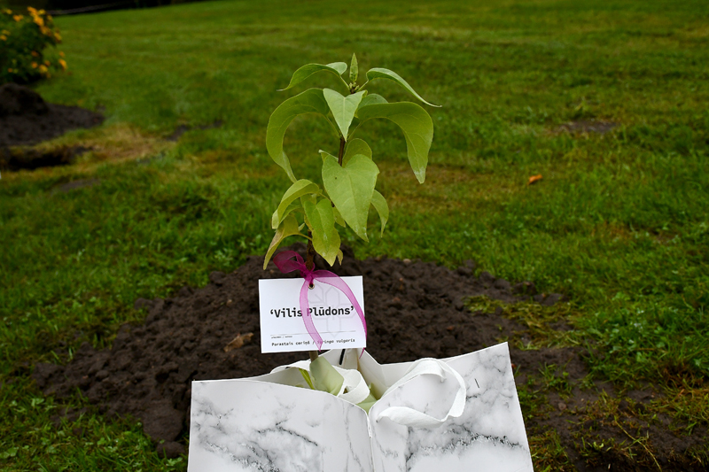 Autors: Ivars Bogdanovs