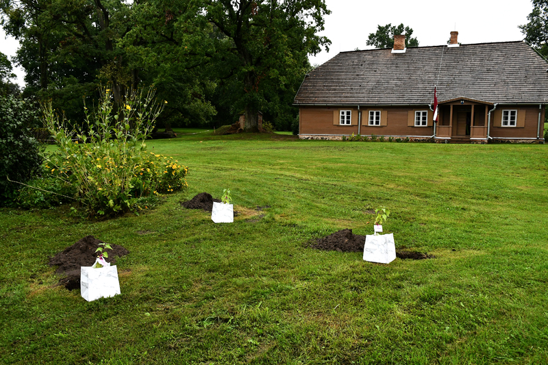 Autors: Ivars Bogdanovs